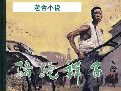 大象传媒ceo